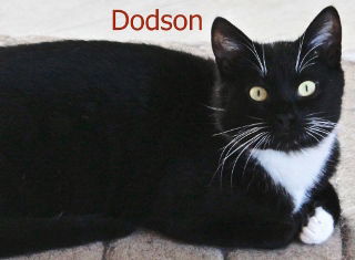 Dodson