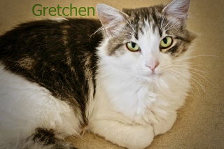 Gretchen