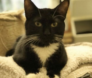 Kiki