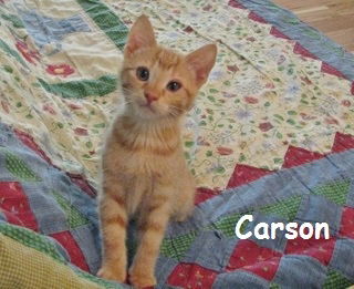 Carson