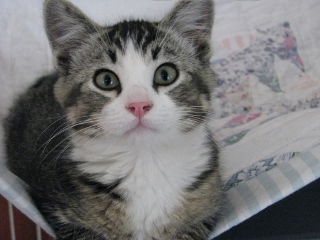 Charlie