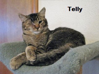 Telly