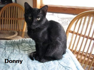 Donny