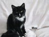 Max