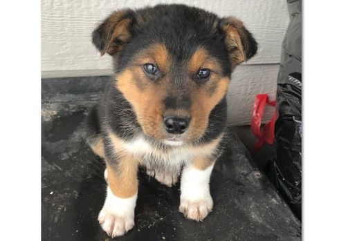 Floyd