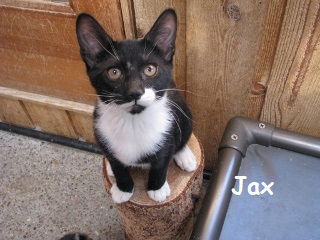 Jax