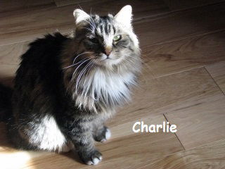 Charlie