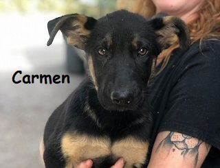 Carmen