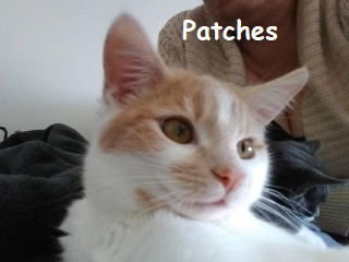 Patches