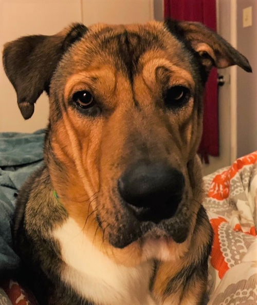 Max