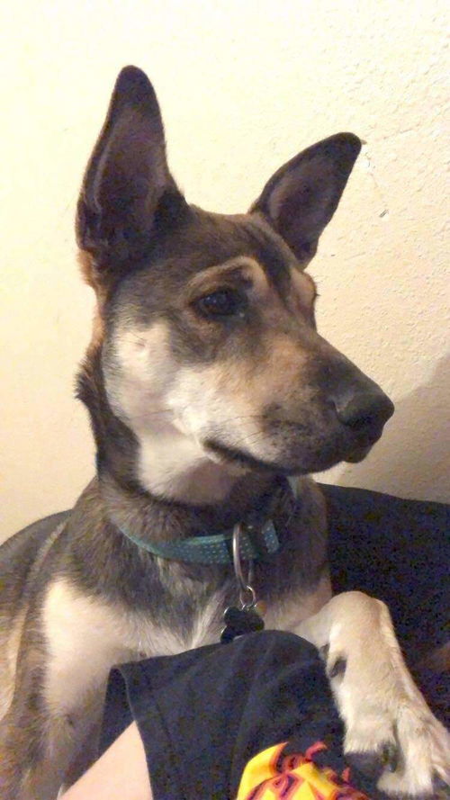 Athena