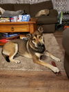 Athena