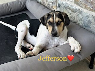 Jefferson