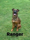 Ranger