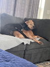 Biscuit