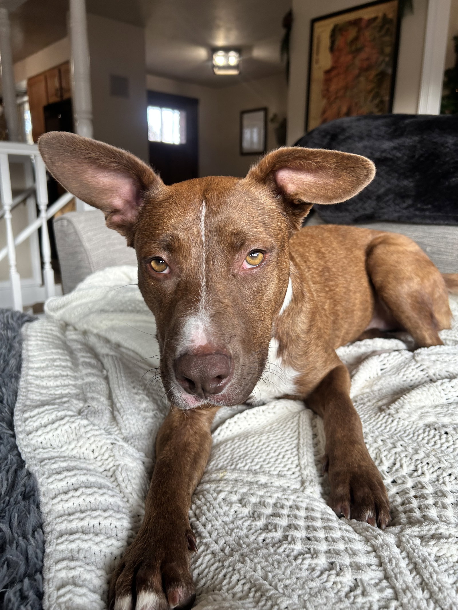 Zoey Image