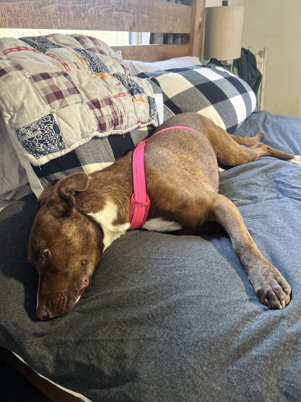 Zoey