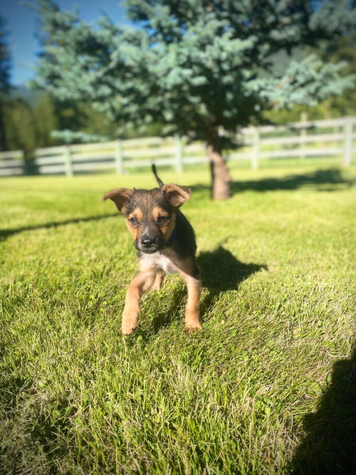 Little Dude photo 2