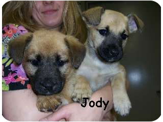 Jody