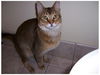 Carmello aka Spencer