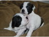 Maybelle
