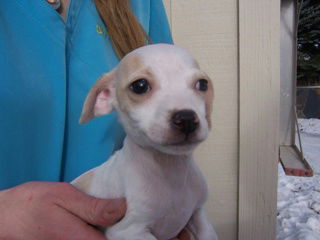 Casper