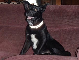 Bat Girl aka Lucky