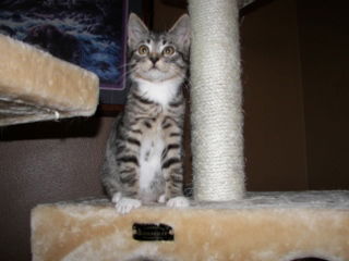 Charlie