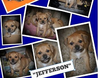 Jefferson