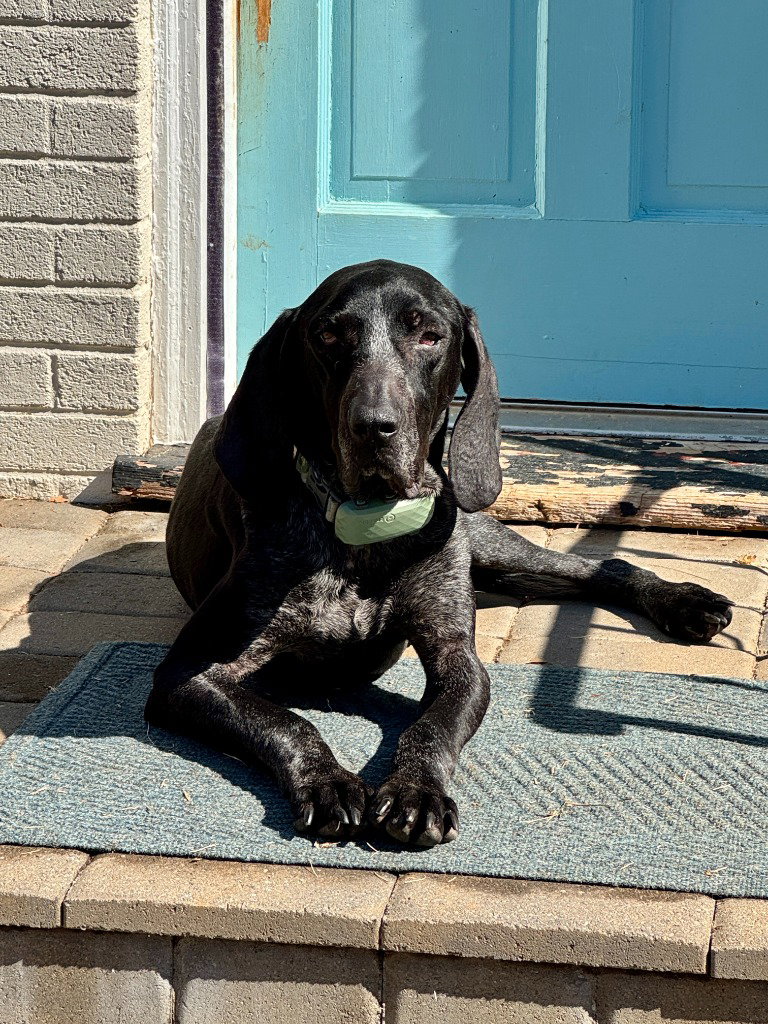 Riley