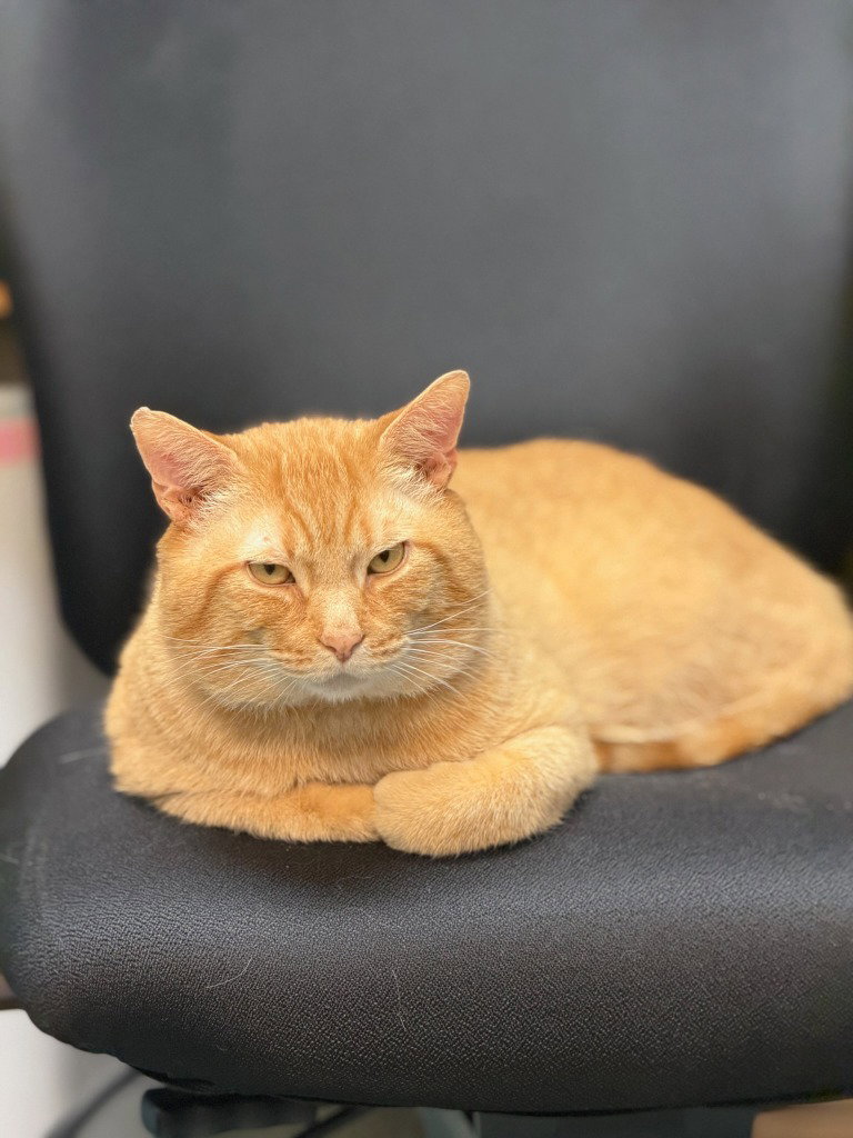Milo