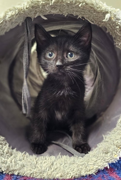 Irene, photo 3