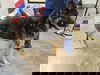 adoptable Dog in  named Lucas -urgent foster or foster to adopt needed