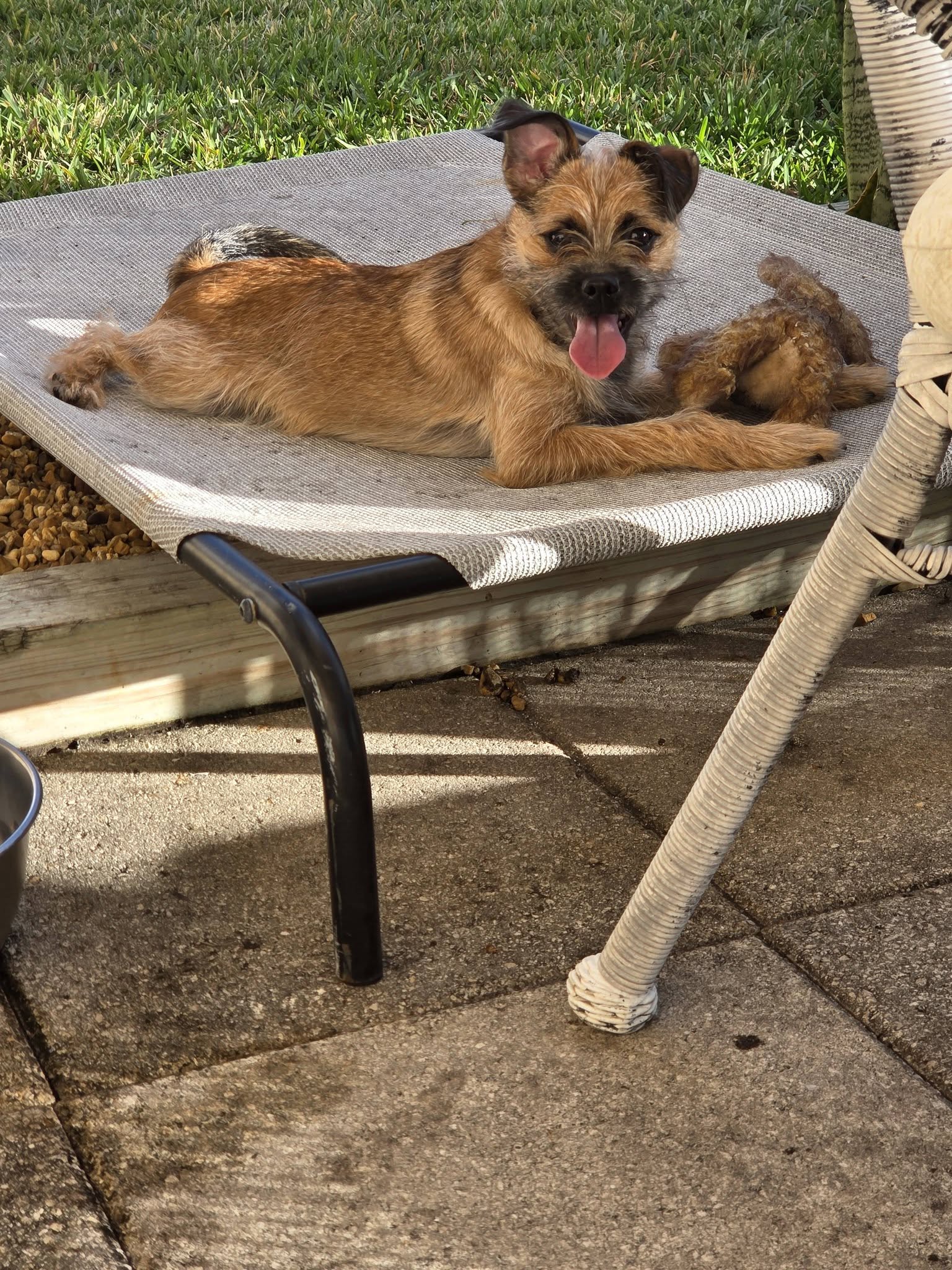 Milo
