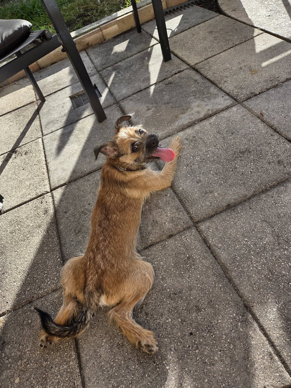 Milo