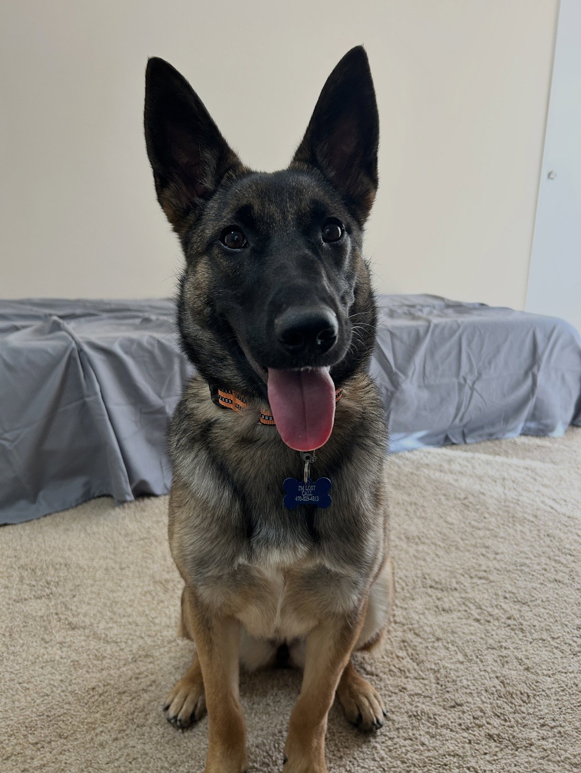 Xena