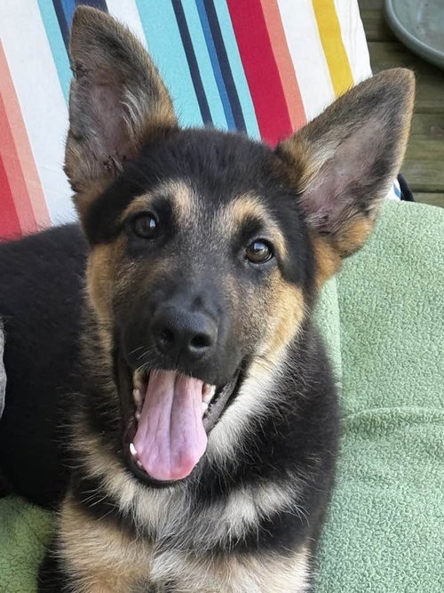 Zeus