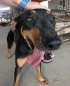Casey - Photo 23