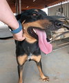 Casey - Photo 24