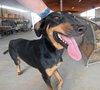 Casey - Photo 25