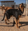 Casey - Photo 21