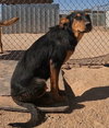 Casey - Photo 22
