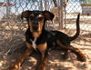 Casey - Photo 1