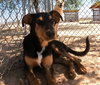 Casey - Photo 2