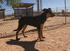 Casey - Photo 5