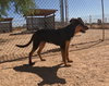 Casey - Photo 6