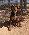 Casey - Photo 9
