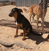 Casey - Photo 7