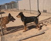 Casey - Photo 8