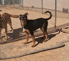 Casey - Photo 11
